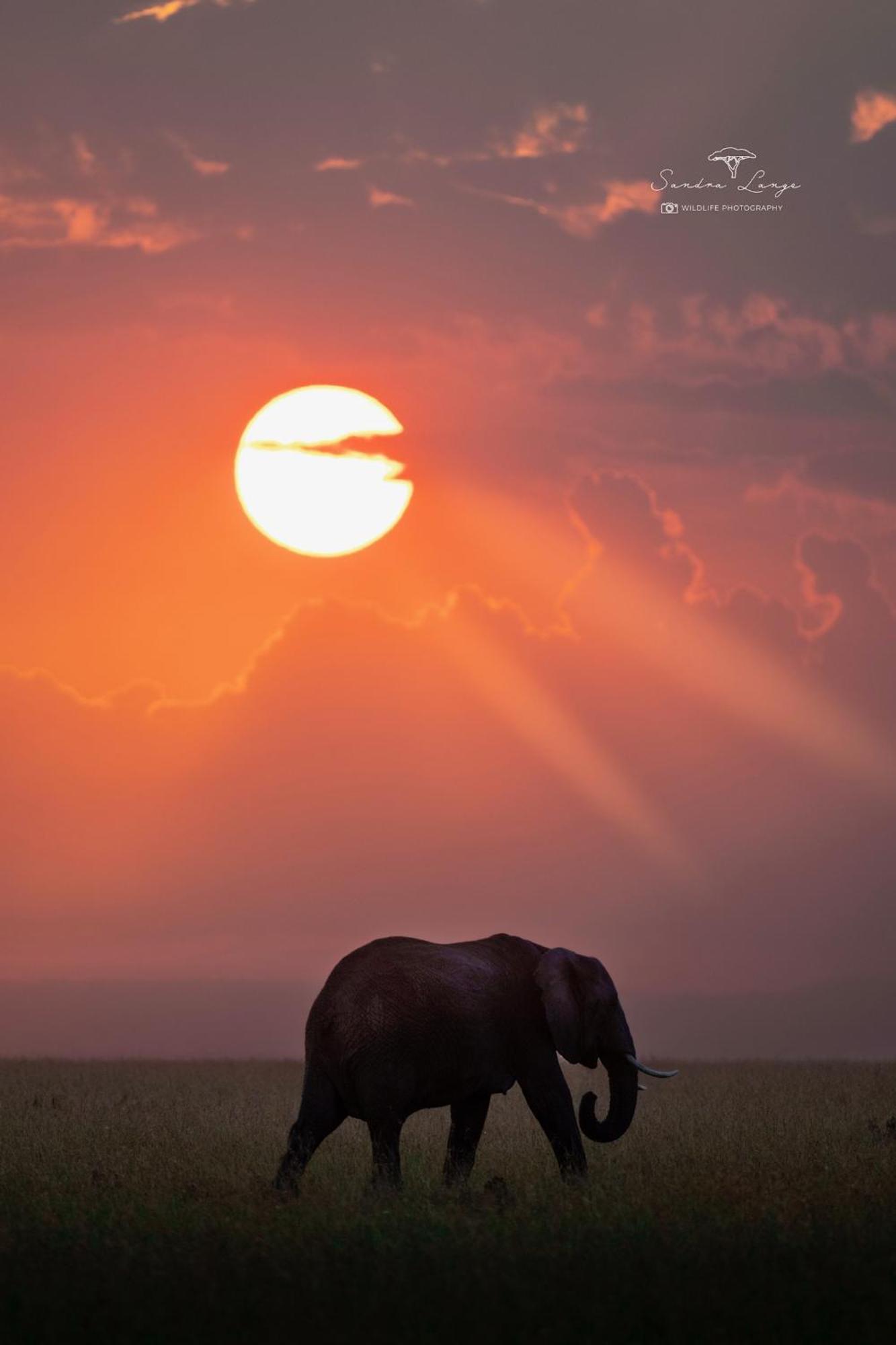 Olkinyei Mara Tented Camp Talek Екстер'єр фото