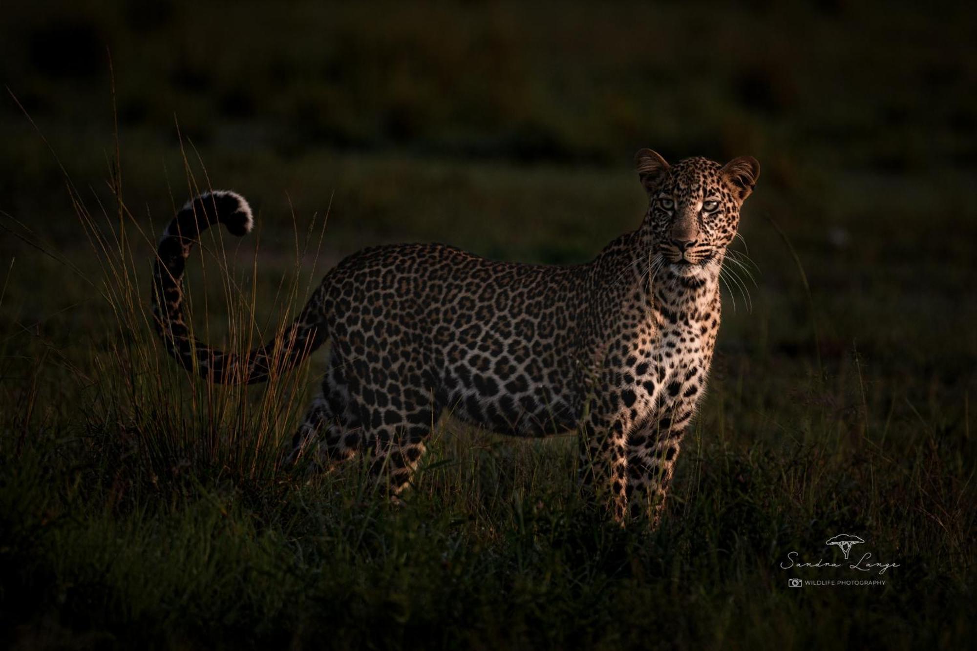Olkinyei Mara Tented Camp Talek Екстер'єр фото