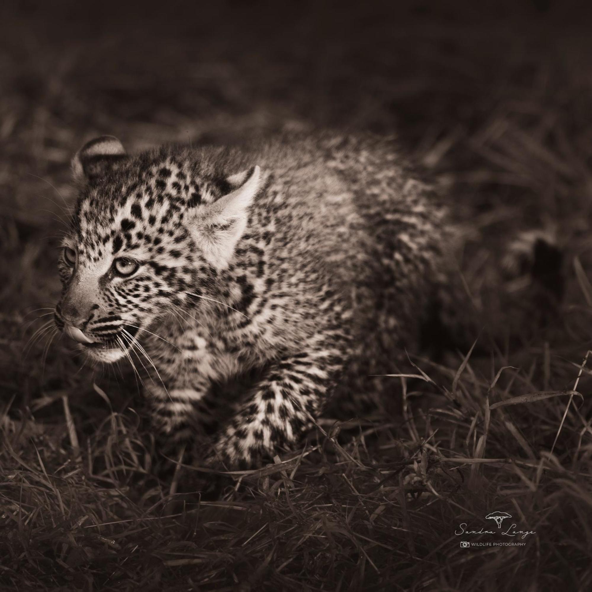 Olkinyei Mara Tented Camp Talek Екстер'єр фото