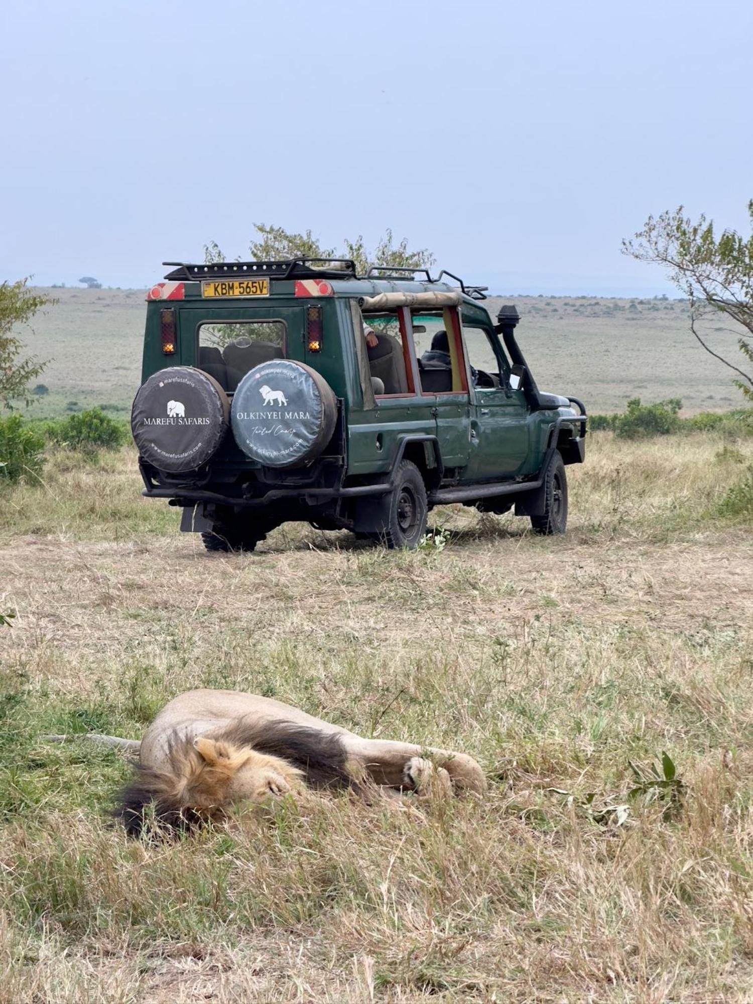 Olkinyei Mara Tented Camp Talek Екстер'єр фото